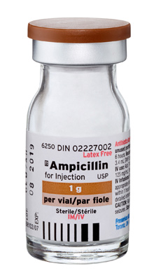 Ampicillin Sodium Mg Injection Ml Vial Box